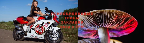MDMA Беломорск
