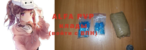 spice Белокуриха