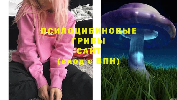 PSILOCYBIN Кукмор