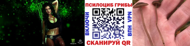 Псилоцибиновые грибы MAGIC MUSHROOMS  даркнет сайт  Верхняя Тура 